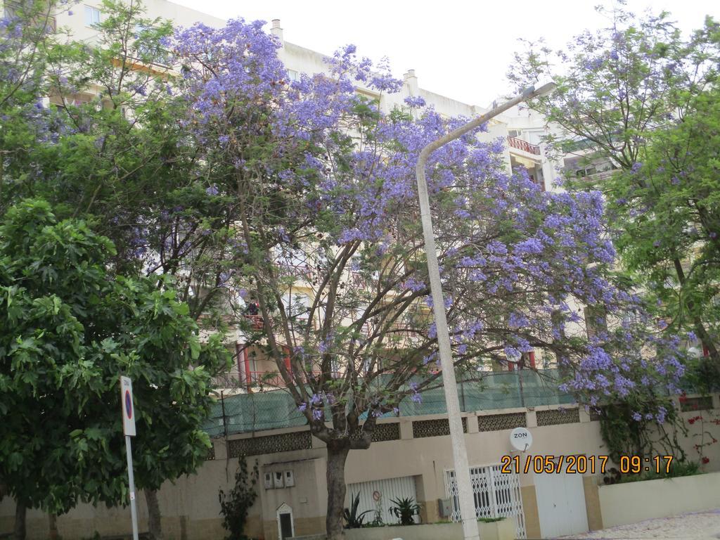 Edificio Canoa Armacao de Pera Exterior photo